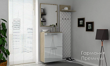 Прихожая Гармония  Премиум МДФ